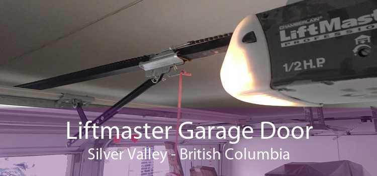 Liftmaster Garage Door Silver Valley - British Columbia
