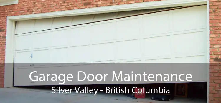 Garage Door Maintenance Silver Valley - British Columbia