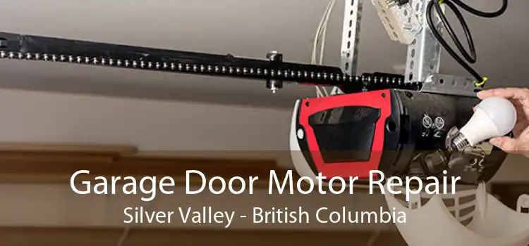 Garage Door Motor Repair Silver Valley - British Columbia