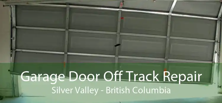 Garage Door Off Track Repair Silver Valley - British Columbia