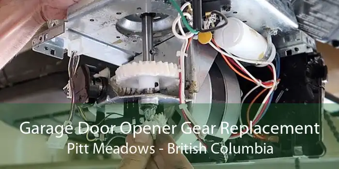 Garage Door Opener Gear Replacement Pitt Meadows - British Columbia