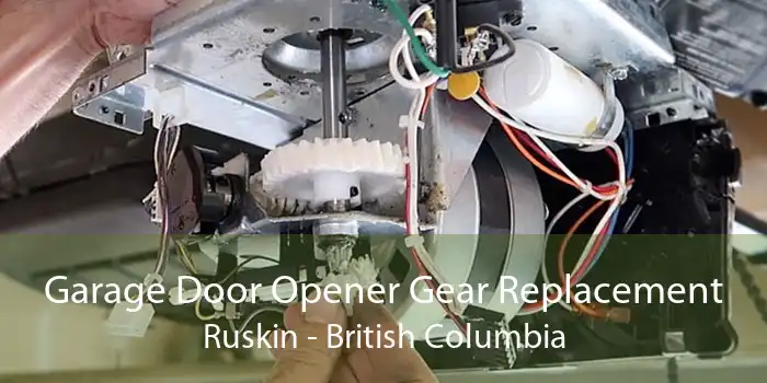 Garage Door Opener Gear Replacement Ruskin - British Columbia