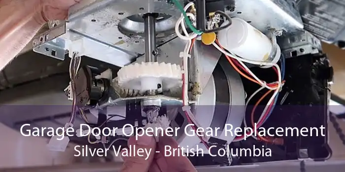 Garage Door Opener Gear Replacement Silver Valley - British Columbia