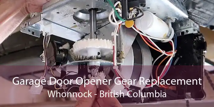Garage Door Opener Gear Replacement Whonnock - British Columbia