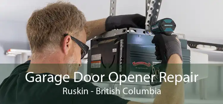 Garage Door Opener Repair Ruskin - British Columbia