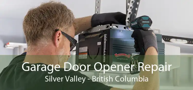 Garage Door Opener Repair Silver Valley - British Columbia