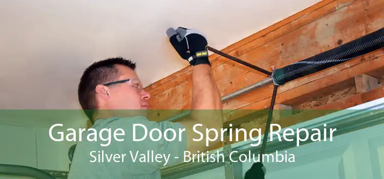 Garage Door Spring Repair Silver Valley - British Columbia