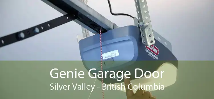 Genie Garage Door Silver Valley - British Columbia