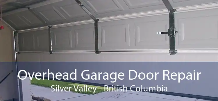 Overhead Garage Door Repair Silver Valley - British Columbia