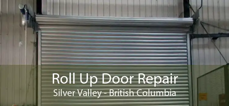 Roll Up Door Repair Silver Valley - British Columbia